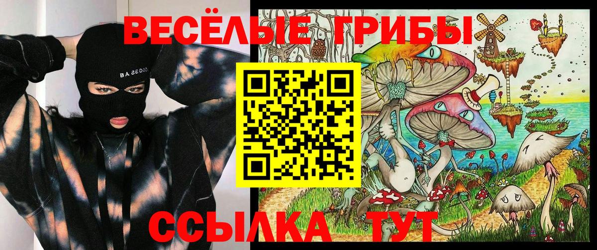 Галлюциногенные грибы GOLDEN TEACHER  как найти   Славянск-на-Кубани  Вход с VPN  Галлюциногенные грибы мухоморы 